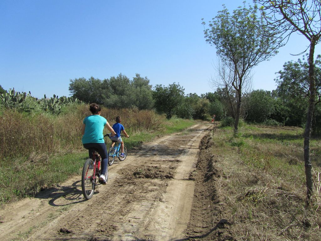 Antes de las obras (Mobiliario urbano y podas en la zona de “El Bajo” (TT.MM. Coria del Río y La Puebla del Río))