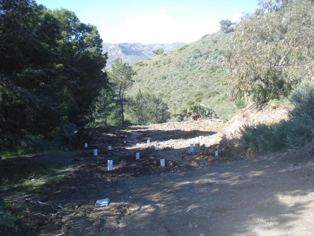 Caseta Demolicion (Después de las obras)