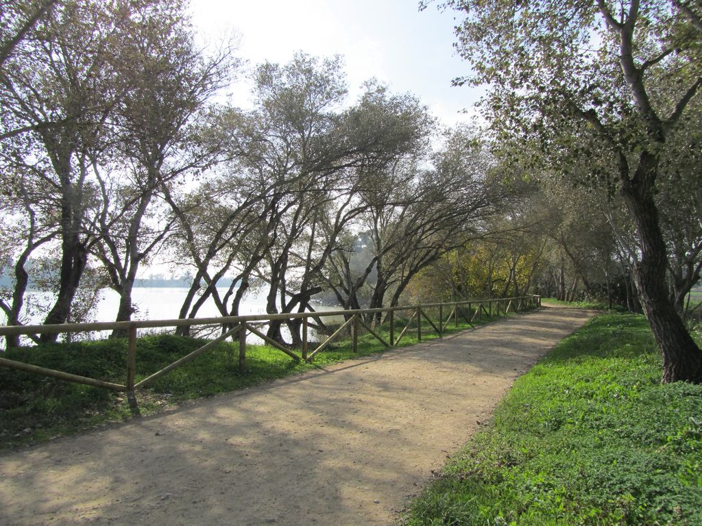 Después de las obras (Mobiliario urbano y podas en la zona de “El Bajo” (TT.MM. Coria del Río y La Puebla del Río))