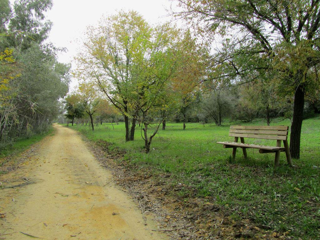 Después de las obras (Mobiliario Urbano (TT.MM. Camas y Gelves))