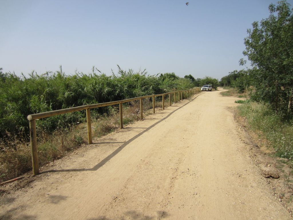 Después de las obras (Sendero en Alcalá del Río (T.M. Alcalá del Río))