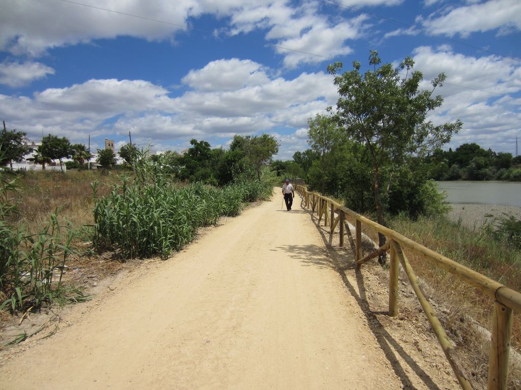 Después de las obras (Sendero en Alcalá del Río (T.M. Alcalá del Río))