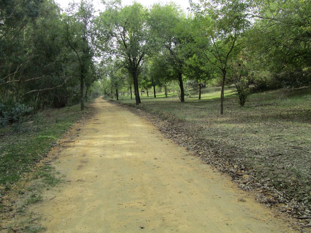 Después de las obras (Mantenimiento de Sendero de la Corta de La Cartuja Margen Derecha (TT.MM. Sevilla, Camas y Santiponce))