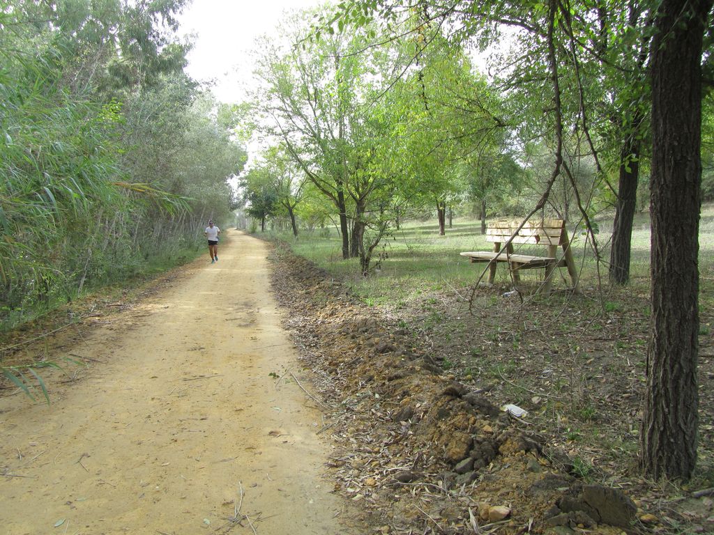 Después de las obras (Mantenimiento de Sendero de la Corta de La Cartuja Margen Derecha (TT.MM. Sevilla, Camas y Santiponce))