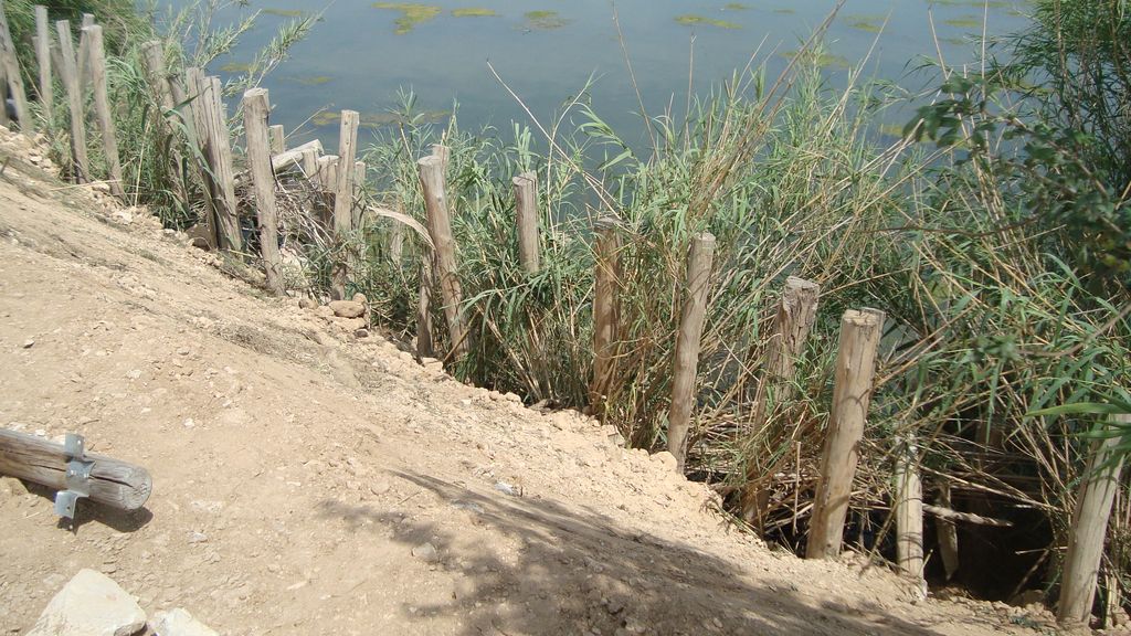 Reposición margen derecha del río Ebro, en Amposta (Durante las obras)