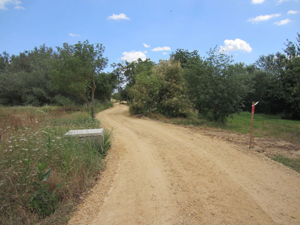 Durante de las obras (Sendero en Alcalá del Río (T.M. Alcalá del Río))