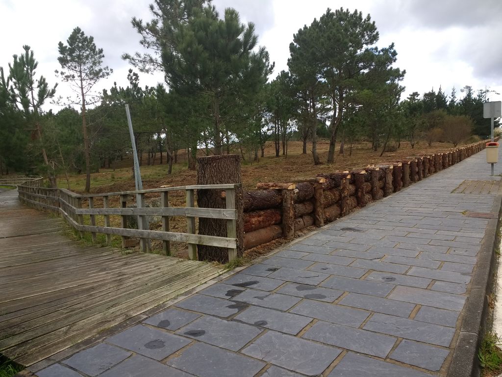 Ferrol. Limpieza, corta y poda preventiva de vegetación, con posterior aprovechamiento en el D.P.M.T (Después de las obras)