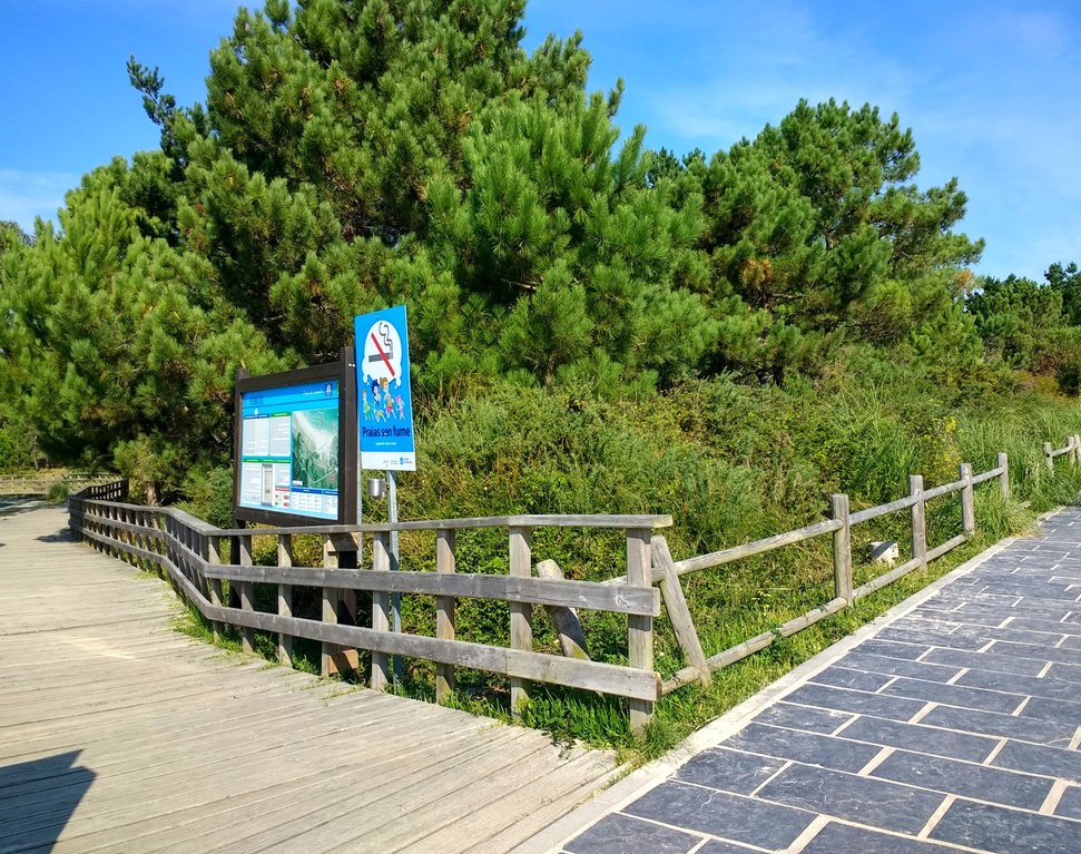 Ferrol. Limpieza, corta y poda preventiva de vegetación (Antes de las obras)