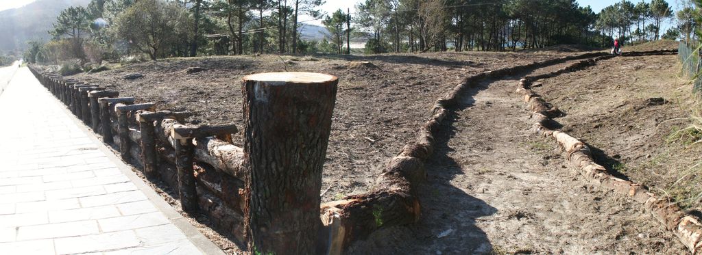 Ferrol. Limpieza, corta y poda preventiva de vegetación, con posterior aprovechamiento en el D.P.M.T (Después de las obras)