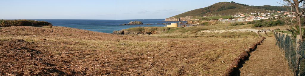 Ferrol. Limpieza, corta y poda preventiva de vegetación, con posterior aprovechamiento en el D.P.M.T (Después de las obras)