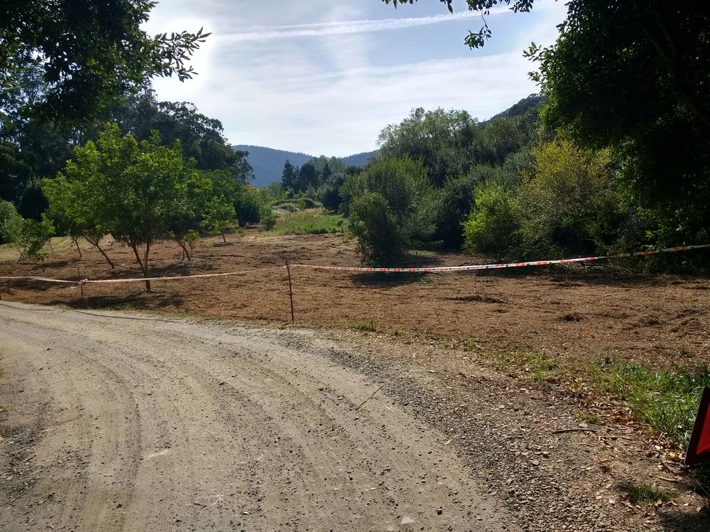 Valdoviño. Limpieza, corta y poda preventiva de vegetación, con posterior aprovechamiento en el D.P.M.T (Después de las obras)