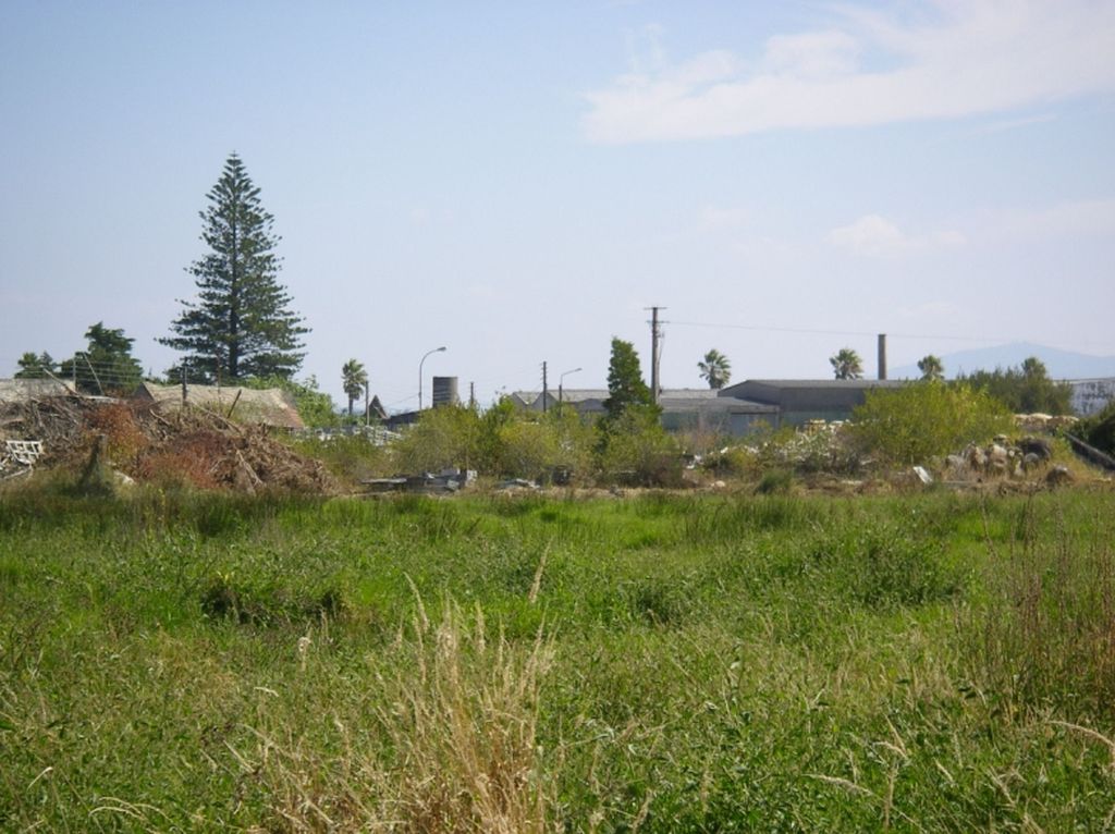 Regeneración ambiental de las marismas de A Xunqueira do Areal, Fase I. Antes