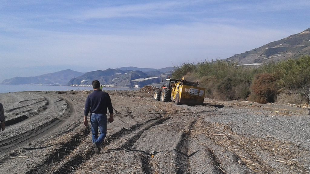 Conservación y mantenimiento 2015 (Durante las obras). Melicena, T.M. Sorvilán