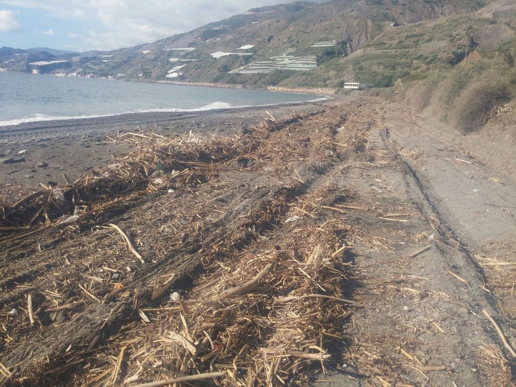 Conservación y mantenimiento 2015 (Antes de las obras). Melicena, T.M. Sorvilán