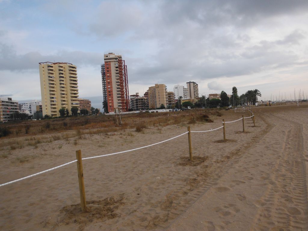 Acordonamientos dunares en Massamagrel. Después de las obras.