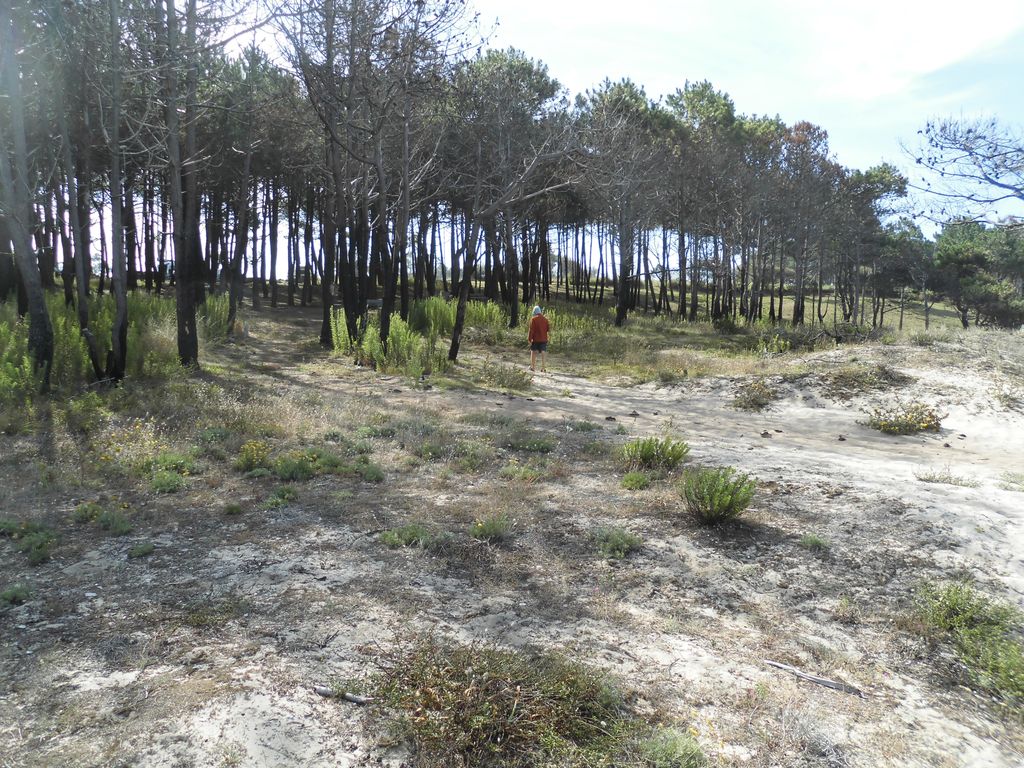 Playa de Río Sieira (próxima a Coviña). Instalación de pasarela de madera (Antes de las obras)