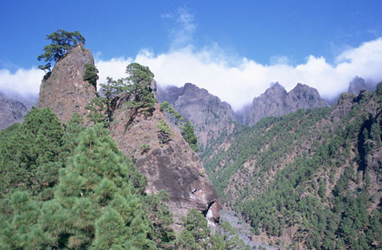 Parque Nacional de Cabañeros. Autor: V. García Canseco/Fototeca CENEAM