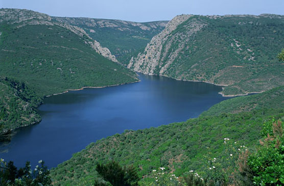 Parque Nacional de la Sierra de Guadarrama. Autor Antonio Moreno.