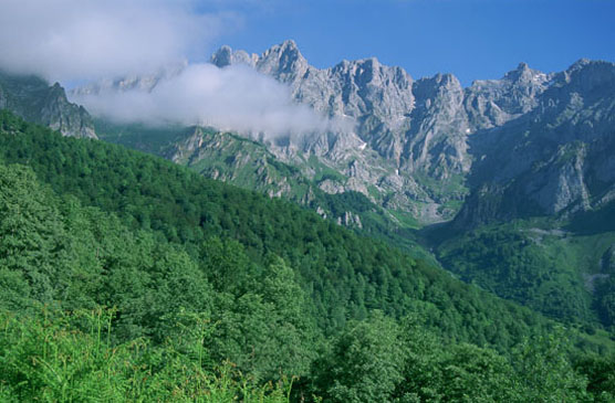 Parque Nacional de Monfragüe. Autor: J.M. Reyero/ Fototeca CENEAM