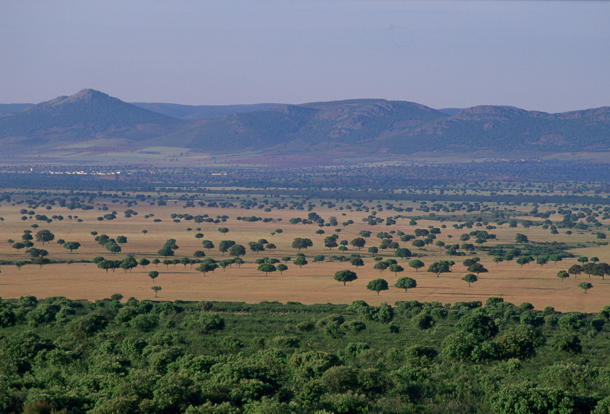 Parque Nacional de Cabañeros. Autor: V. Garcia Canseco / Fototeca CENEAM