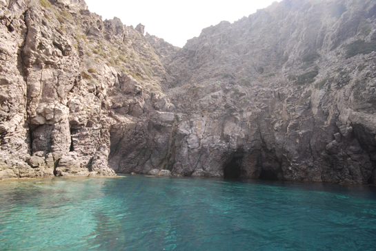 Vista general del punto de inmersión, a la derecha se puede ver la entrada de la “Cueva del Lobo”.  Se trata de una zona muy castigada por la pesca artesanal, que realizan los pescadores marroquíes del vecino puerto de Cabo de Agua. Palangres, trasmallos y pulperas, arrancan o dañan, especialmente, a la gorgonia Ellisella paraplexauroides.