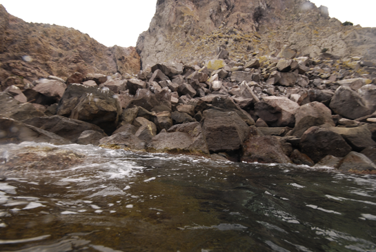 Es una zona que siempre ha tenido una gran presencia de pescadores artesanales marroquíes del vecino pueblo de Cabo de Aguas, sin embargo el hecho de que, en este caso, las grandes gorgonias Ellisella praplexauroides crezcan entre los bloques de piedra, ha permitido que se encuentren en un buen estado.