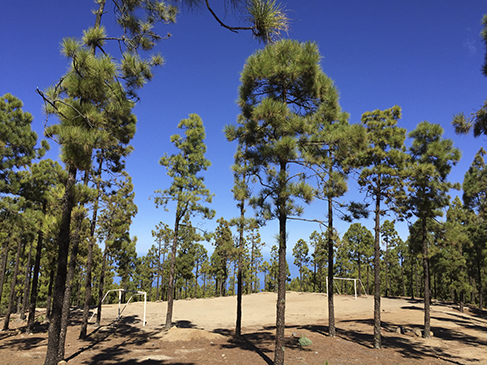Campo de juegos
