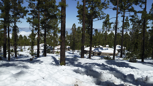 Vista general del Centro de actividades en la naturaleza Emilio Fernández Muñoz (CANEFM) en invierno
