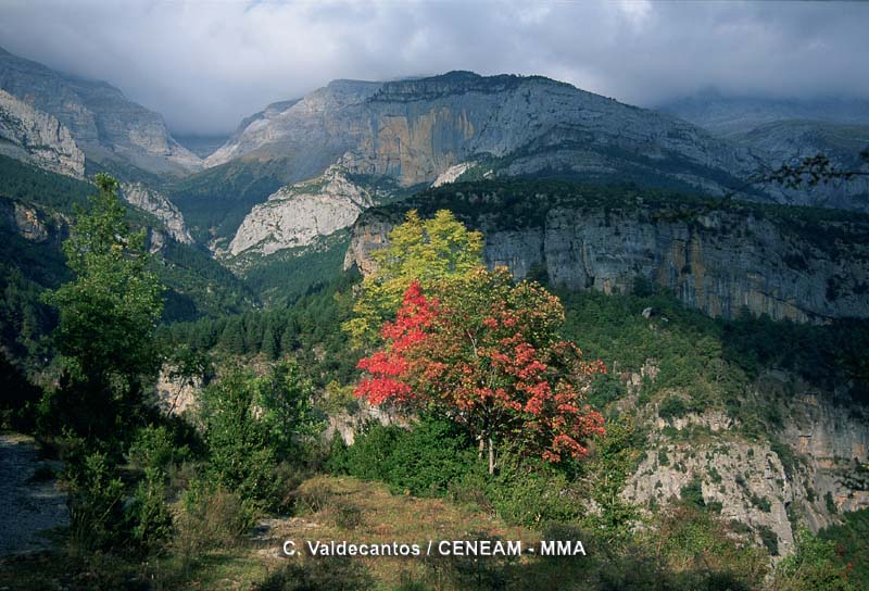 Los fenómenos karsticos han tenido una gran importancia en este espacio natural, como se observa en el Valle de Escuaín.