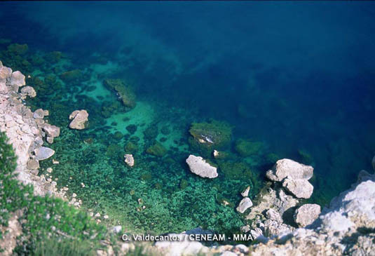 Costa rocosa y setos de posidonia (Posidonia oceanica).