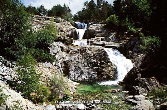 El agua es sin duda alguna, el elemento más singular de este enclave.