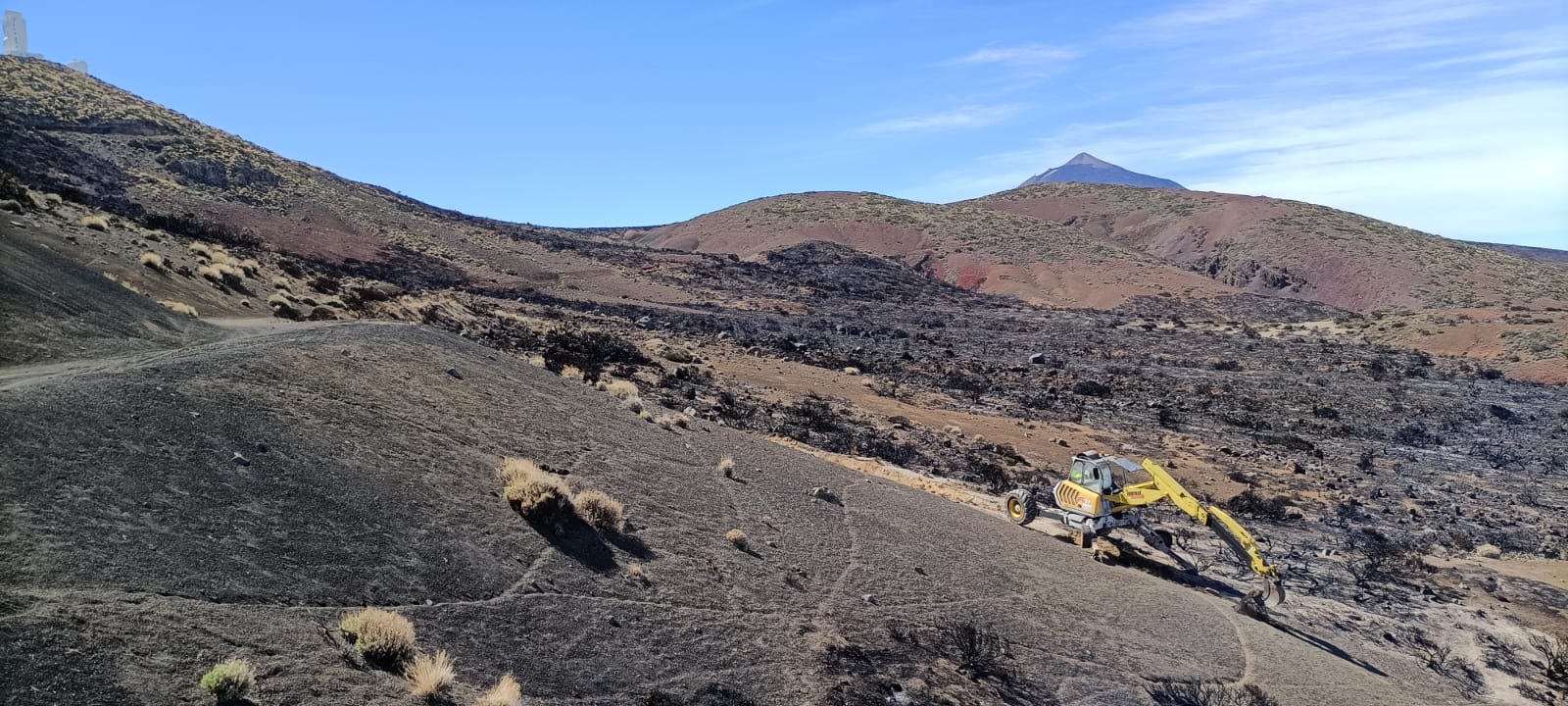 Trabajos de protección de un área quemada de matorral de cumbre en la zona de Montaña Limón.