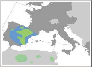 Distribución mundial conocida de la Alondra ricotí