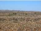 Páramo de Layna (Soria)