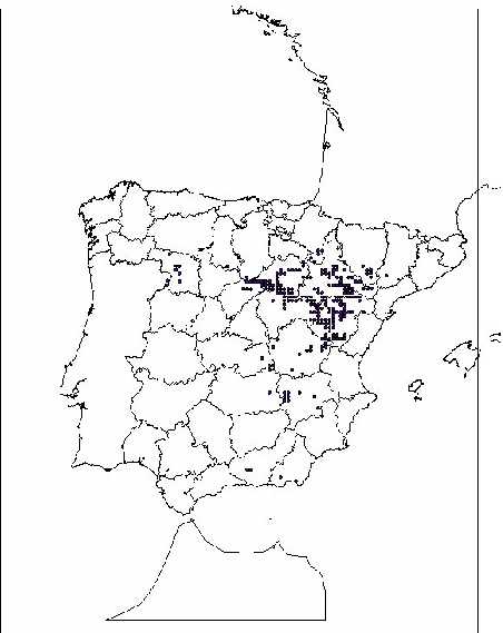 Mapa de distribución nacional cuadrículas 10x10.