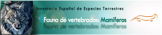 Composición con icono, fotografía y textos