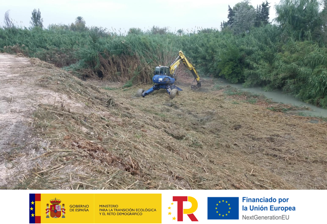 Desbroce mecánico de Arundo donax en el río Segura