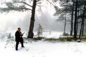 Reconociendo un bosque