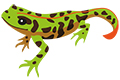Tritón pigmeo