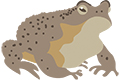 Imprimir