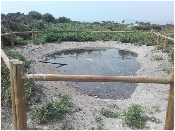 Charca en el Parque Naciona de las Islas Atlánticas de Galicia