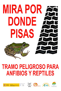 Cartel destinado a reducir la siniestralidad por atropellos