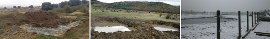 Charcas para anfibios Sierra de Guadarrama