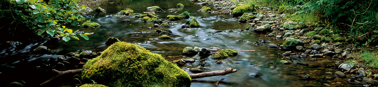 Río Golako [J. Maguregi Arenaza / Fototeca CENEAM]