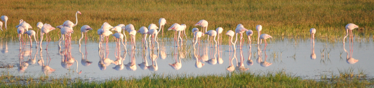 Laguna de El Hito