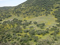 Actuaciones en territorios linceros. Montes de Lugar Nuevo y Selladores-Contadero